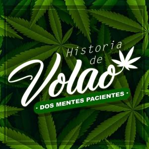 ดาวน์โหลดและฟังเพลง Historia De Volao พร้อมเนื้อเพลงจาก Dos Mentes Pacientes