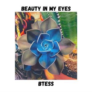 Btess的專輯Beauty in My Eyes
