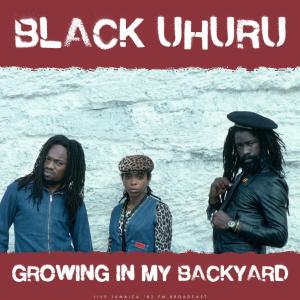 Growing In My Backyard (Live) dari Black Uhuru