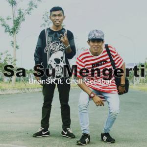 收听BrianSR的Sa Su Mengerti歌词歌曲
