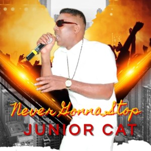 Album Never Gonna Stop from Junior Cat
