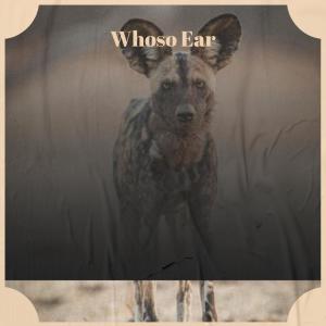 Listen to Everything Sentence song with lyrics from Keneil Motra