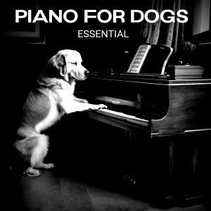 Essential dari Piano for Dogs