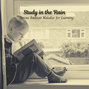 Thunder Storms & Rain Sounds的专辑Study in the Rain: Serene Ambient Melodies for Learning
