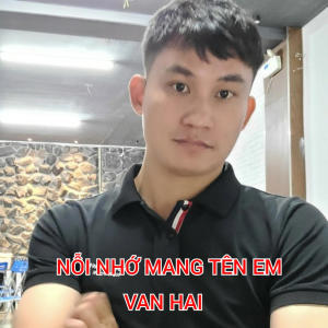 อัลบัม NỖI NHỚ MANG TÊN EM ศิลปิน Van Hai