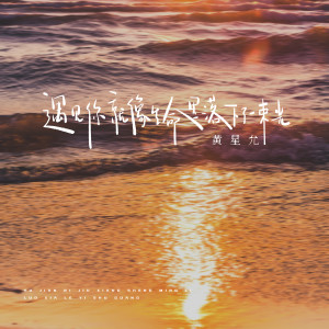 Album 遇见你就像生命里落下了一束光 from 黄星允