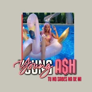 ดาวน์โหลดและฟังเพลง Tu No Sabes Na De Mi พร้อมเนื้อเพลงจาก Young Ash