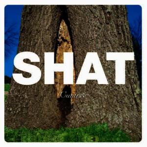 ดาวน์โหลดและฟังเพลง Hit Dat Sh*t พร้อมเนื้อเพลงจาก Shat