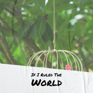 Various Artist的專輯If I Ruled The World