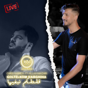 Album Goltelkom Nabghiha (Live) from 