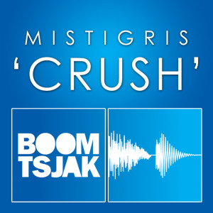 Listen to Crush (Tsjak Vocal Edit) song with lyrics from Mistigris