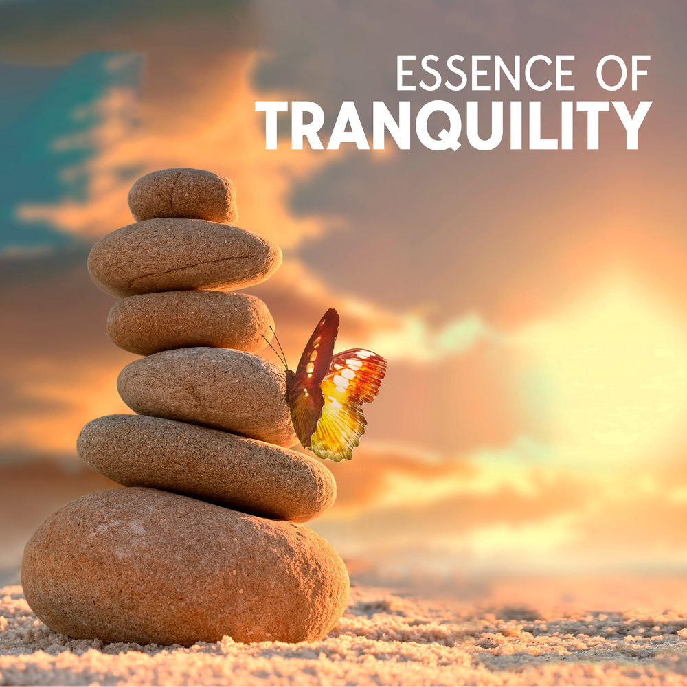 Music for Peace of Mind
