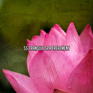 Serenity Spa Music Relaxation的專輯55 Tranquil Spa Treatment