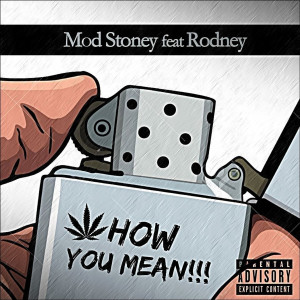 Album How You Mean (feat. Rodney) from Mod Stoney