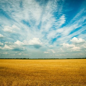 Listen to Field of Love song with lyrics from Christian Smith