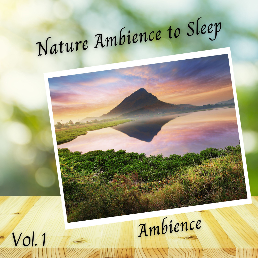 Ambient Sleep Sounds