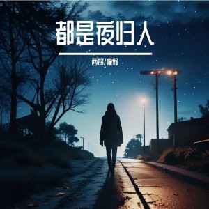Listen to 都是夜归人 (cover: 阿云嘎|郑云龙) (完整版) song with lyrics from 西昂