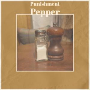 Listen to Punishment Pepper song with lyrics from Ning Basty