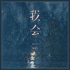 Album 我会 from 林氧气