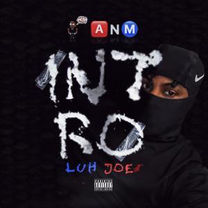 Listen to INTRO (Explicit) song with lyrics from LUH JOE