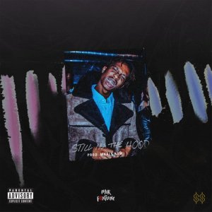 ดาวน์โหลดและฟังเพลง Still In The Hood (Explicit) พร้อมเนื้อเพลงจาก Mir Fontane