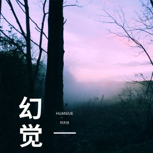 收聽鄧天羽的幻覺歌詞歌曲