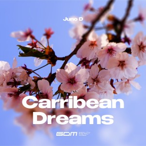 Juno D的專輯Carribean Dreams (Extended Mix)