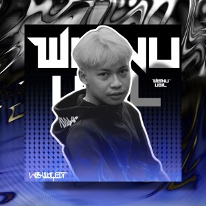 Listen to MASHUP VIP VELOCITY song with lyrics from Wisnu Ugil