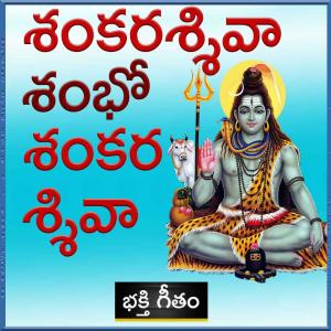 Listen to Sankara Siva Shambho (Explicit) song with lyrics from OM HINDU FOUNDATION