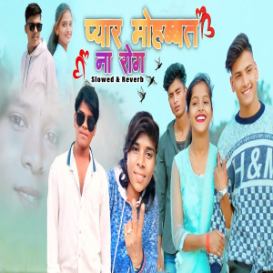 Album Pyar Mahobbat Na Rog (Slowed & Reverb) from 