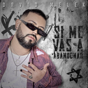 ดาวน์โหลดและฟังเพลง Si Me Vas a Abandonar พร้อมเนื้อเพลงจาก David Melek