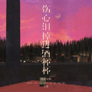 Album 伤心泪掉进酒杯杯（温柔女版） from 任夏