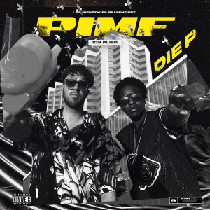 Listen to Ich flieg song with lyrics from Pimf