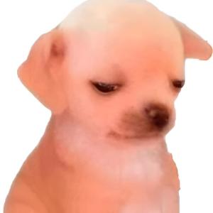 收聽Caraperro的NELLY (Explicit)歌詞歌曲