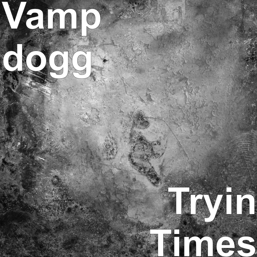 Tryin Times (Explicit)