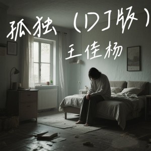 王佳楊的專輯孤獨(DJ版)