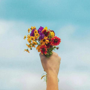 default playlist img