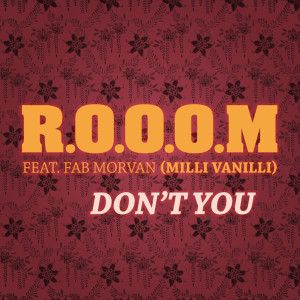 收聽R.O.O.O.M.的Don't You (Radio Edit)歌詞歌曲