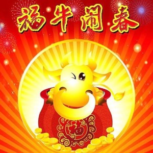 Album 张灯结彩过大年-DJ from 段煜