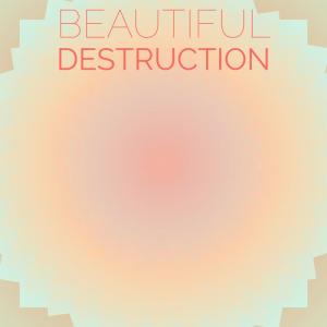 Various Artists的專輯Beautiful Destruction