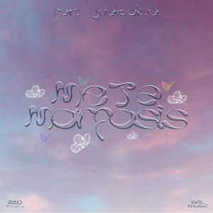 ดาวน์โหลดและฟังเพลง PISTA DEL BAR (feat. narvy) พร้อมเนื้อเพลงจาก Fari
