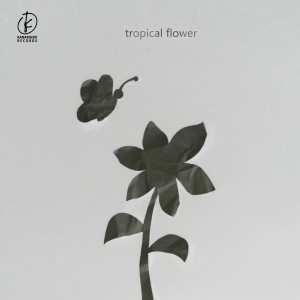 Dengarkan lagu Sinar Senja nyanyian Tropical Flower dengan lirik