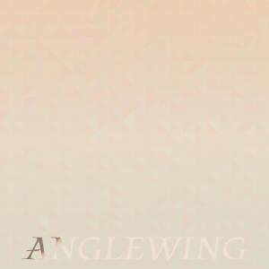 Album Anglewing from Various
