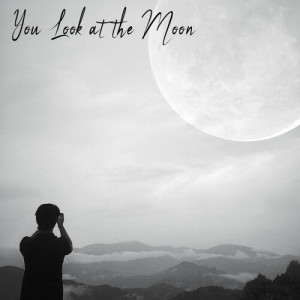 Picea的專輯You Look at the Moon
