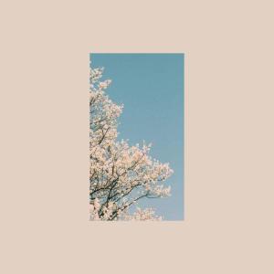 Listen to lily's reflection song with lyrics from mangoes