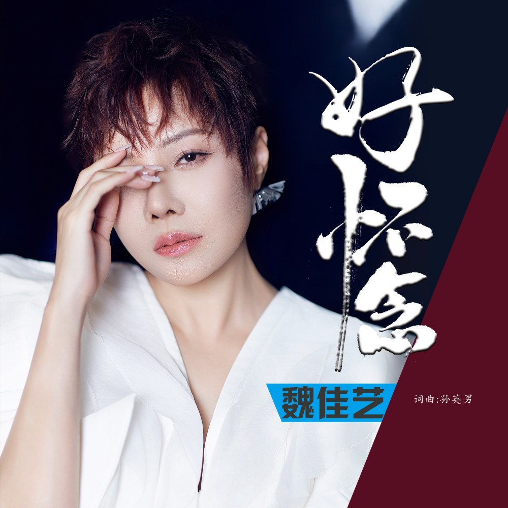 好怀念 (伴奏)