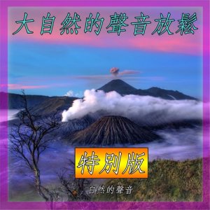 收聽自然的聲音的瀑布與熱帶雨林的聲音歌詞歌曲