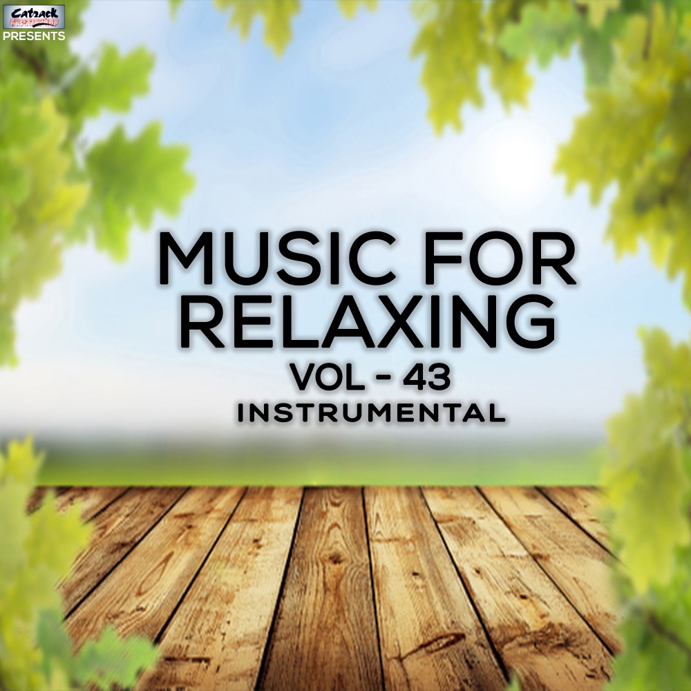 Music for Relaxing, Vol. 43
