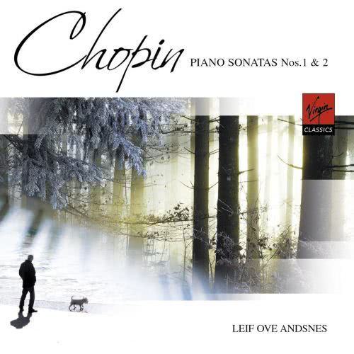 Piano Sonata No. 2 in B-Flat Minor, Op. 35, "Funeral March": IV. Finale (Presto sotto voce e legato)