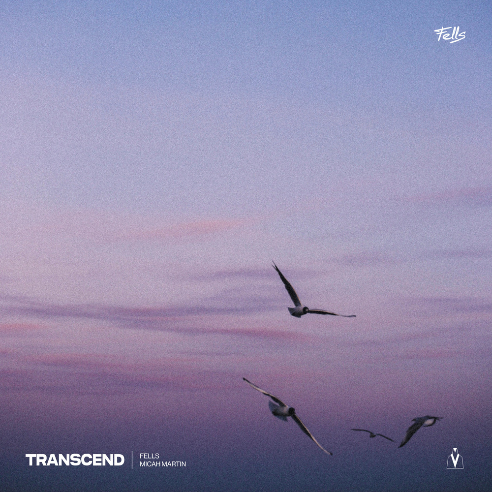 Transcend (完整版)